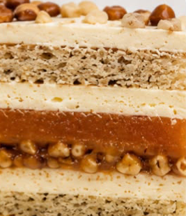 Hazelnut & Apricot Sponge Cake